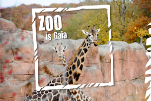 Gaia Zoo